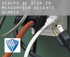 Seguro de vida en  Meadowview Heights Number 4