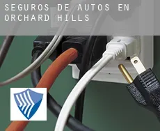 Seguros de autos en  Orchard Hills