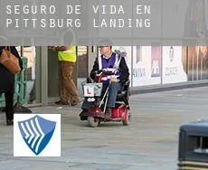 Seguro de vida en  Pittsburg Landing