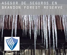 Asesor de seguros en  Brandon Forest Reserve