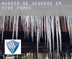 Asesor de seguros en  Five Forks