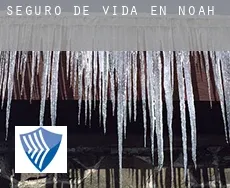 Seguro de vida en  Noah