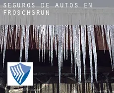 Seguros de autos en  Froschgrün