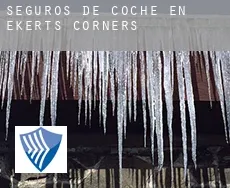 Seguros de coche en  Ekerts Corners