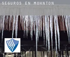 Seguros en  Mohnton