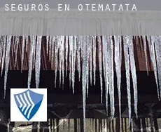 Seguros en  Otematata