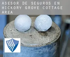 Asesor de seguros en Hickory Grove Cottage Area