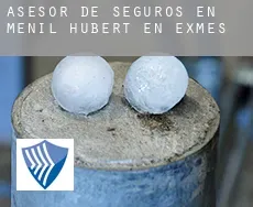 Asesor de seguros en  Ménil-Hubert-en-Exmes