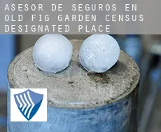 Asesor de seguros en  Old Fig Garden