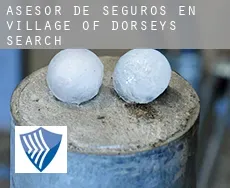Asesor de seguros en  Village of Dorseys Search