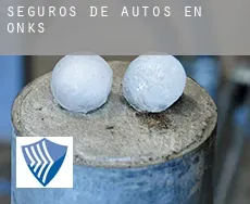 Seguros de autos en  Onks