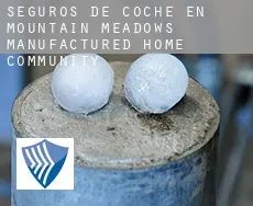 Seguros de coche en  Mountain Meadows Manufactured Home Community