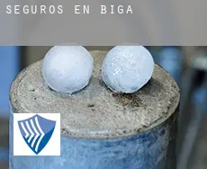 Seguros en Biga