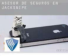 Asesor de seguros en  Jacksnipe