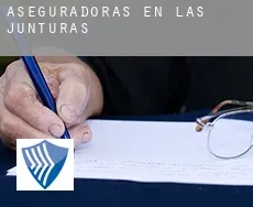 Aseguradoras en  Las Junturas