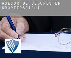 Asesor de seguros en  Kropfersricht