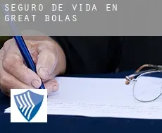 Seguro de vida en  Great Bolas