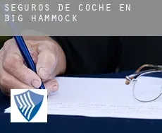 Seguros de coche en  Big Hammock