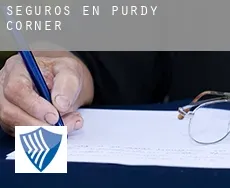 Seguros en  Purdy Corner