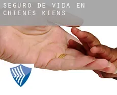 Seguro de vida en  Chienes - Kiens