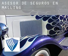 Asesor de seguros en  Malling