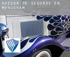 Asesor de seguros en  Monogram