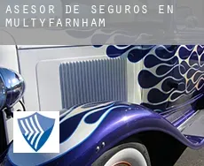 Asesor de seguros en  Multyfarnham