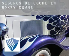 Seguros de coche en  Roxby Downs
