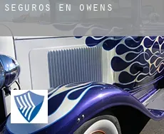 Seguros en Owens