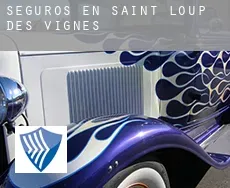 Seguros en  Saint-Loup-des-Vignes