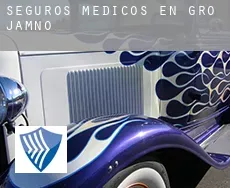 Seguros medicos en  Groß Jamno