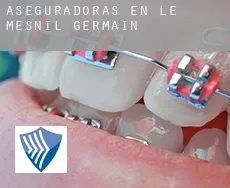 Aseguradoras en  Le Mesnil-Germain