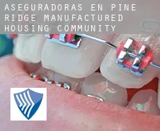 Aseguradoras en Pine Ridge Manufactured Housing Community