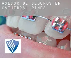 Asesor de seguros en  Cathedral Pines