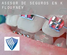 Asesor de seguros en  K Flourney