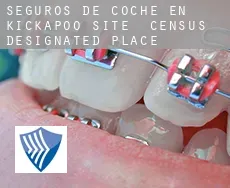 Seguros de coche en  Kickapoo Site 5