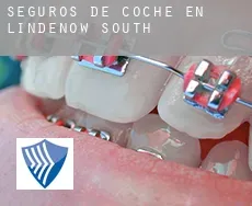 Seguros de coche en  Lindenow South