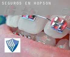 Seguros en  Hopson