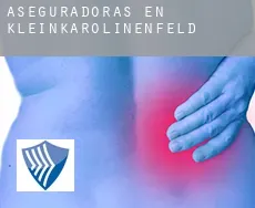 Aseguradoras en  Kleinkarolinenfeld