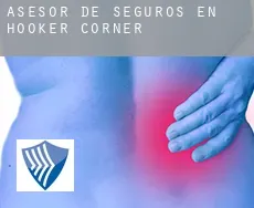 Asesor de seguros en  Hooker Corner
