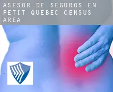 Asesor de seguros en  Petit-Québec (census area)
