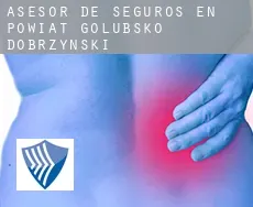 Asesor de seguros en  Powiat golubsko-dobrzyński