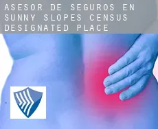 Asesor de seguros en  Sunny Slopes