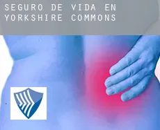 Seguro de vida en  Yorkshire Commons