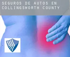 Seguros de autos en  Collingsworth County
