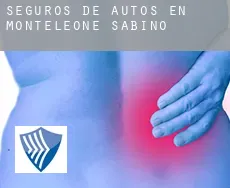 Seguros de autos en  Monteleone Sabino
