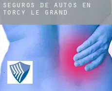 Seguros de autos en  Torcy-le-Grand