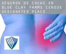 Seguros de coche en  Blue Clay Farms