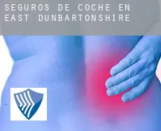 Seguros de coche en  East Dunbartonshire