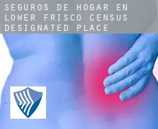 Seguros de hogar en  Lower Frisco